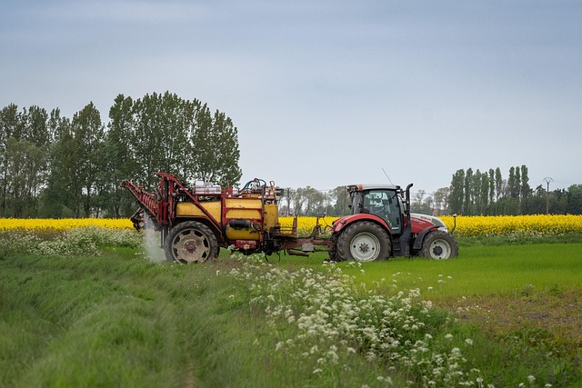 ** Zrównoważone rolnictwo a zmiany klimatyczne: Jak wolontariat wspiera lokalnych rolników w adaptacji? - 5 2025