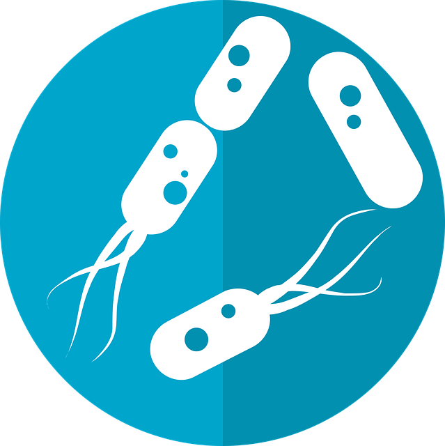 **Jak badać "efekt motyla" w mikrobiomie gleby? Poradnik identyfikacji i analizy kluczowych gatunków bakterii wpływających na emisję gazów cieplarnianych.** - 5 2025