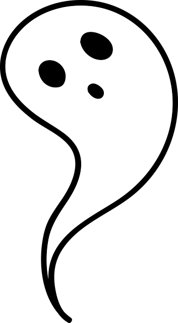 ** Czy to naprawdę "ghosting" czy tylko zmiana tempa? Analiza różnic między naturalnym oddaleniem a świadomym zerwaniem kontaktu w dojrzałych przyjaźniach. - 5 2025