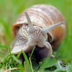 Duchologia Alarmów: Jak Fałszywe Alarmy Kształtują (i Niszczą) Zaufanie do Bezpieczeństwa Publicznego - 11 2025