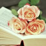 Literatura a tożsamość: Jak książki kształtują nasze postrzeganie siebie - 2 2025 Literatura a tożsamość: Jak książki kształtują nasze postrzeganie siebie - 1 2025