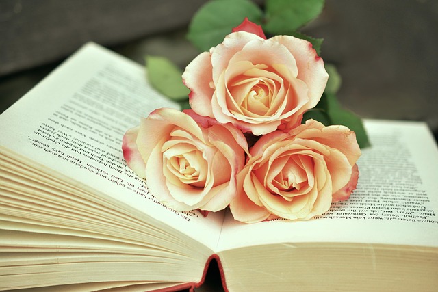 Literatura a tożsamość: Jak książki kształtują nasze postrzeganie siebie - 3 2025
