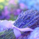 Moja osobista podróż z aromaterapią adaptogenną: jak olejki z adaptogenami pomogły mi redukować chroniczny stres - 7 2025