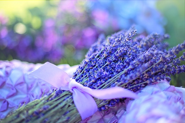 Moja osobista podróż z aromaterapią adaptogenną: jak olejki z adaptogenami pomogły mi redukować chroniczny stres - 3 2025