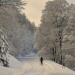 Czym jest IRATA i dlaczego jest ważne dla prac na wysokościach? - 7 2025