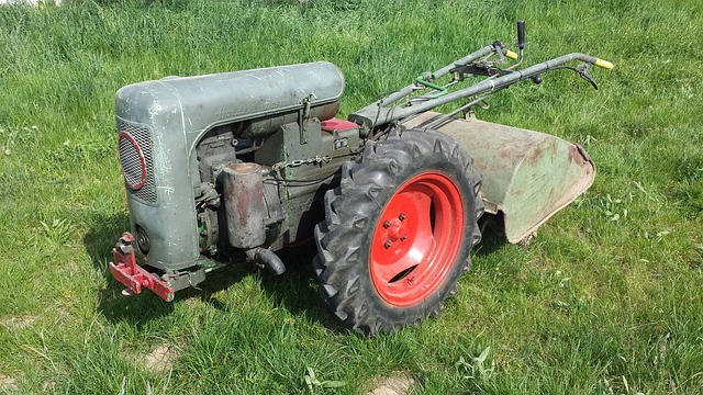 Najlepszy Mulczer do Trawy: Kompletny Przewodnik Wyboru - 23 2025